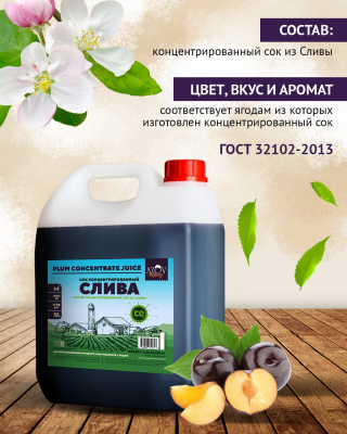 Слива-Ozon-03_—_крупный_размер