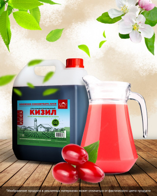 Кизил-Ozon-04_—_крупный_размер