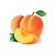 Artboard_2_Copy_32x (2)